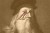 Unveiling the Genius: Introducing Leonardo da Vinci
